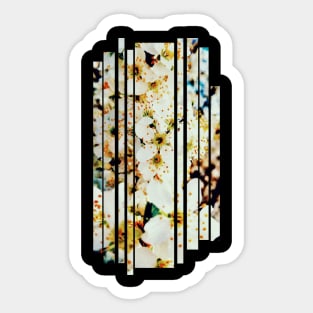 White Flowers - Photography collection Sticker